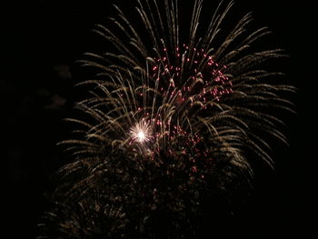 Low angle view of firework display at night