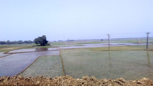 Scenic view of field against clear sky