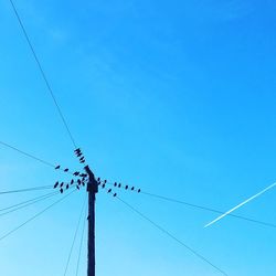 Low angle view of birds perching on power lines against clear blue sky