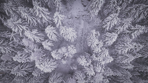 Full frame shot of snow