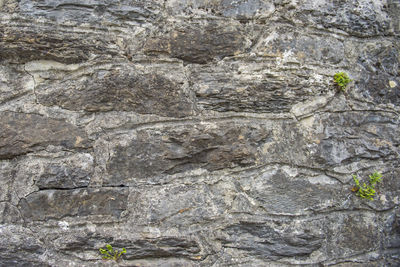 Full frame shot of rock formation