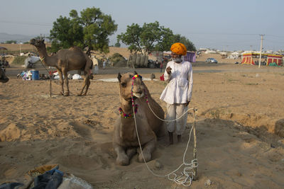 Man standing by camel on sand against sky