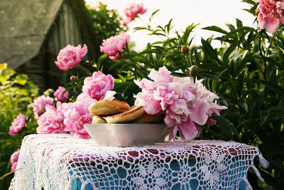 Close-up of pink flowering plants