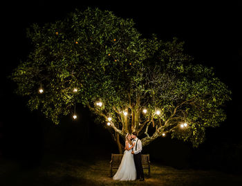 People on illuminated tree at night