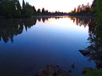 Reflection of trees in water