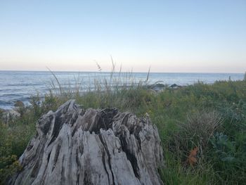 Scenic view of sea against clear sky