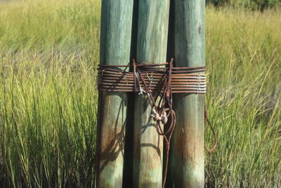 Close-up of wooden post in field