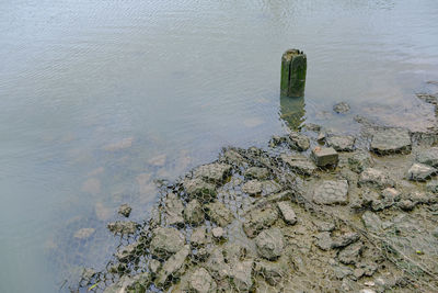 High angle view of rock in lake