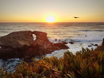 Scenic view of sea against sky during sunset