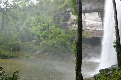 Scenic view of waterfall in forest