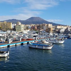 Boats moored at harbor by buildings in city