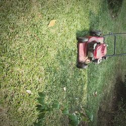 High angle view of plants on field