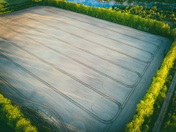 High angle view of agricultural field