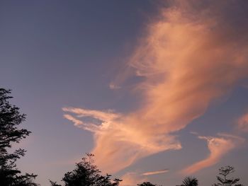 Low angle view of silhouette trees against sky during sunset