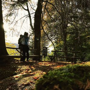 Man on tree in forest