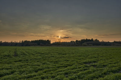 Scenic view of field against sky during sunset