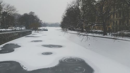 Bare trees in snow covered landscape