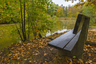 Scenic view of lake in forest during autumn