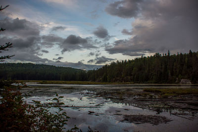 Scenic shot of calm countryside lake against cloudy sky