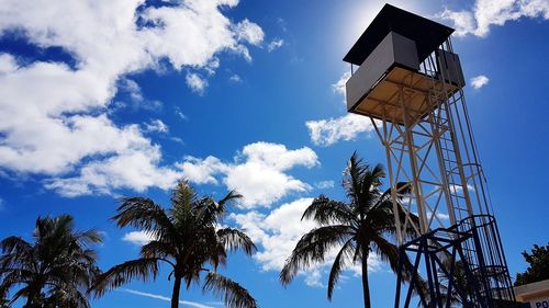 Low angle view of palm trees against blue sky