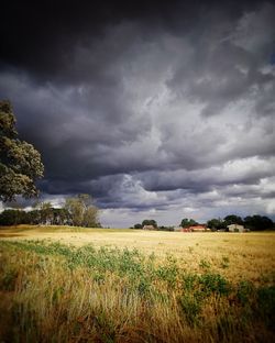 Scenic view of field against cloudy sky