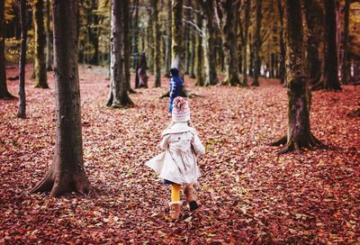 Rear view of people walking in forest during autumn