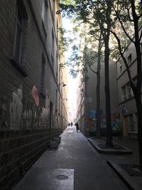 Street amidst trees in city