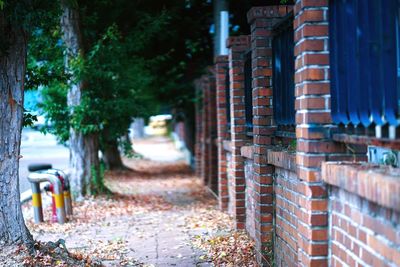 Footpath by trees and wall