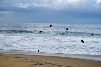 sea