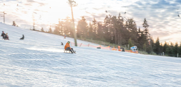 Young man sledding. winter day in winterberg. sunshine. motion blur and copy space.