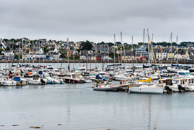 Sailboats moored in harbor