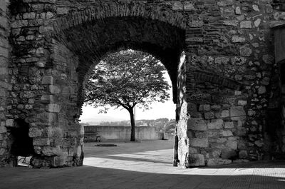 Trees seen through archway