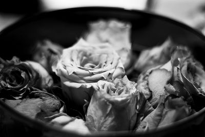 High angle view of ice cream in bowl