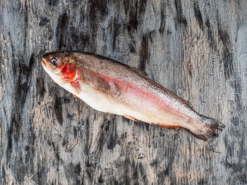 Fresh fish, salmon on gray background top view