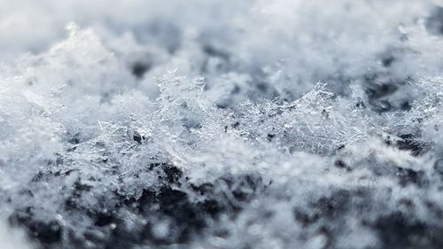 Close-up of snowflakes on snow