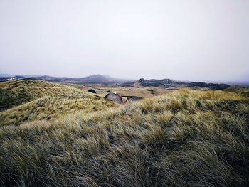 Scenic view of field against clear sky