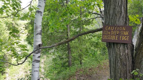 Information sign on tree trunk in forest