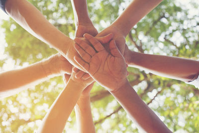 Low angle view of hands holding tree