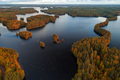 High angle view of lake amidst trees