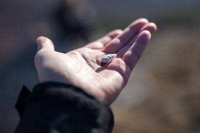 Close-up of hand holding small outdoors
