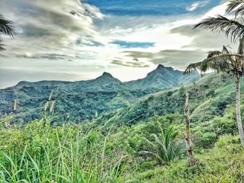 Scenic view of landscape against sky