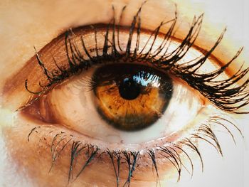 Close-up portrait of woman wearing mascara