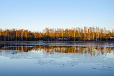Reflection of trees in calm lake