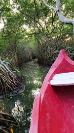 Red boat moored on tree