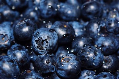 Full frame shot of blueberries