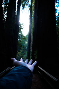 Close-up of man in forest