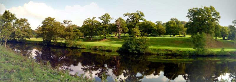 Scenic view of lake and trees against sky