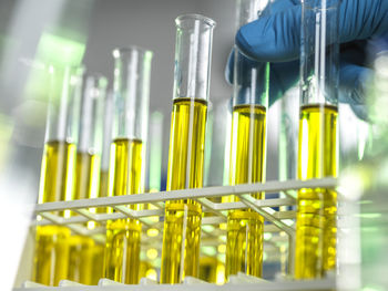 Oil samples being developed for medicine and chemicals