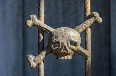 Close-up of rusty skull on fence