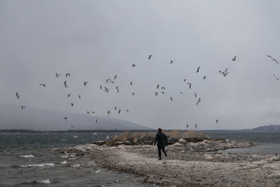 Rear view of people at beach